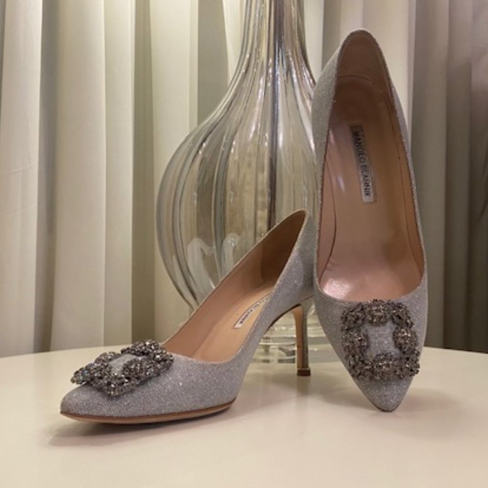Manolo Blahnik Hangisi Pumps in Shimmering Silver